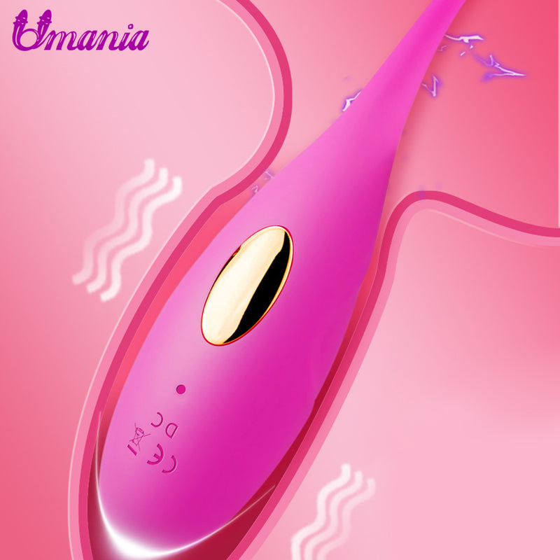 Silent Wireless Remote Control Vibrator